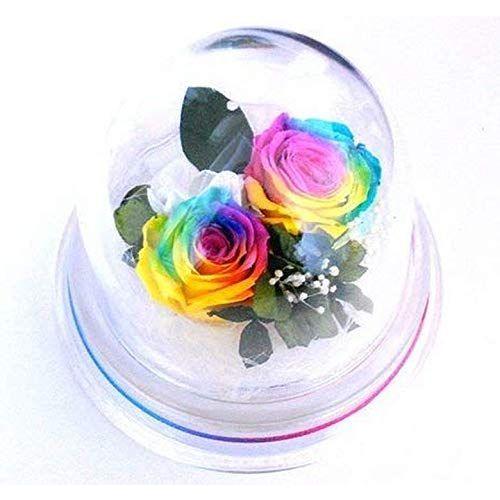 大人女性の レインボーローズ プチドーム 誕生日 母の日 結婚記念日 結婚祝い 卒業祝い 入学祝い プレゼント