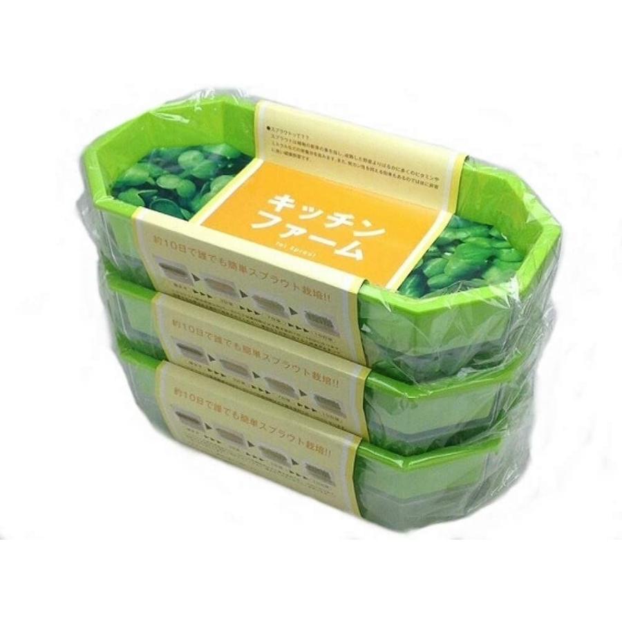 最大75 オフ ブロッコリースプラウト栽培容器 大3ヶセット