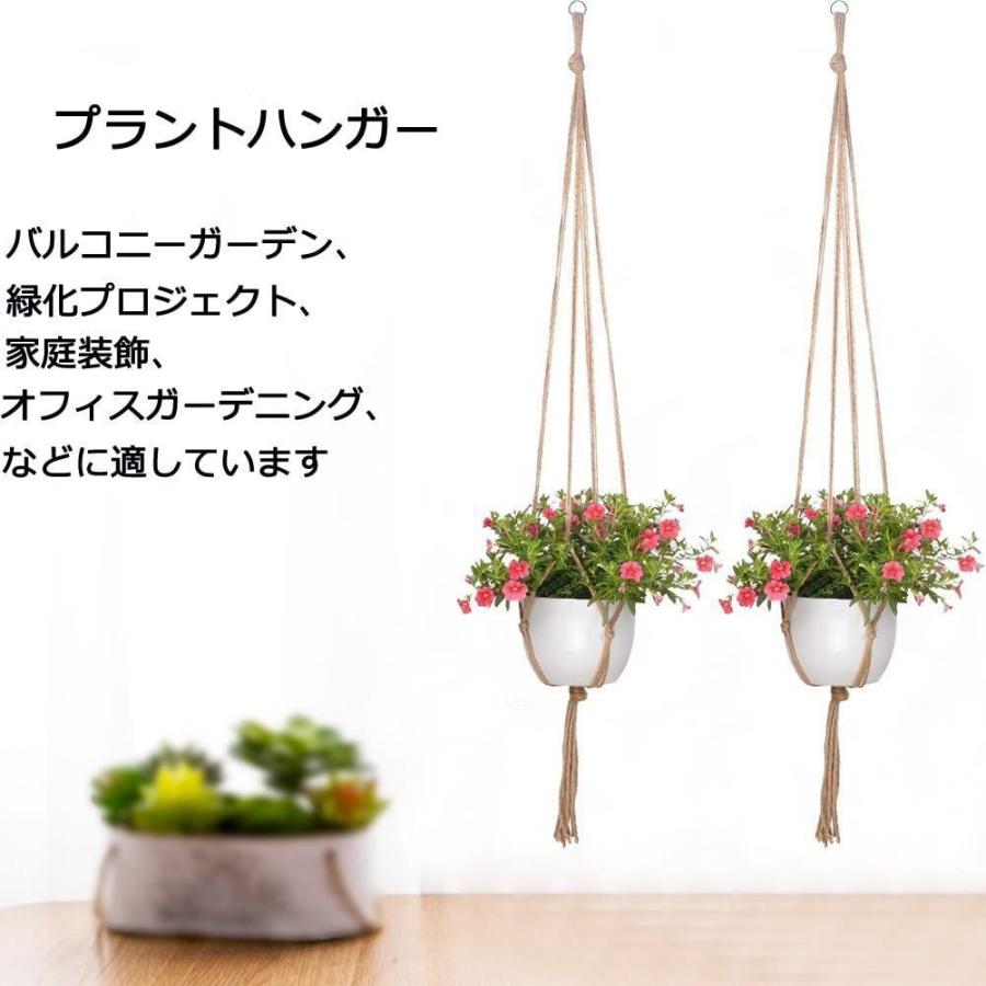 新作アイテム毎日更新 アイスプラントプチサラ その他葉菜類の種 小袋 約コート60