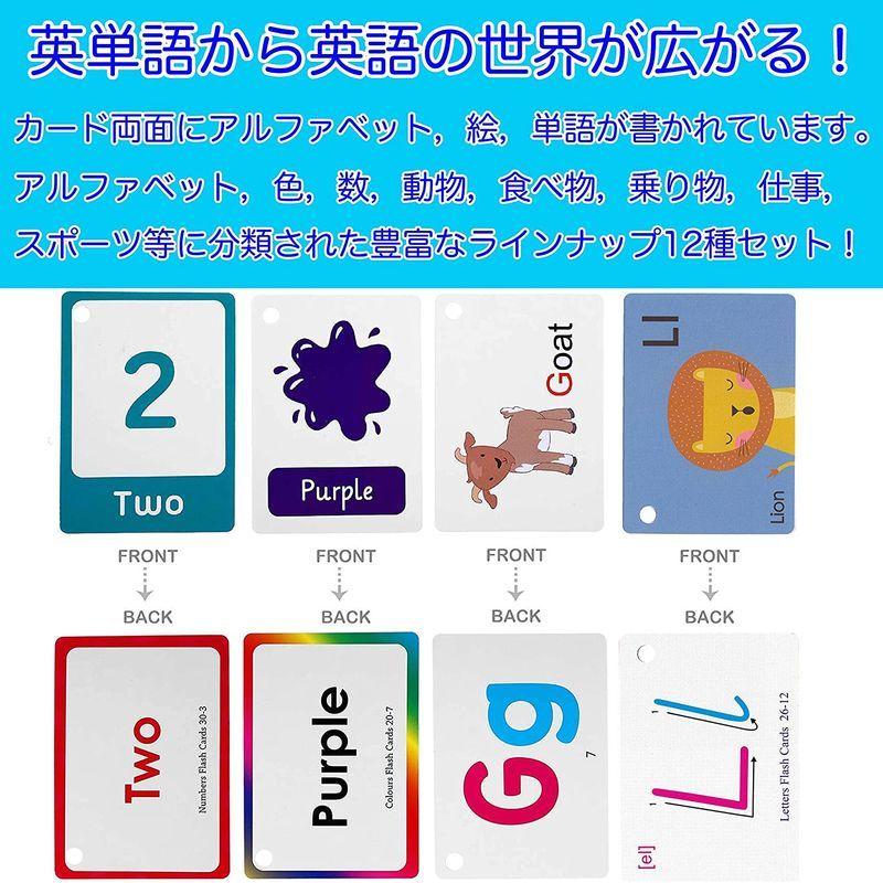 激安店舗 幼児 英単語 フラッシュカード Femtos 12種セット 全1 かわいい 専用ケース入り モンテッソーリ 知育玩具 英語カード 306枚 トランプ Www Fattoriabacio Com