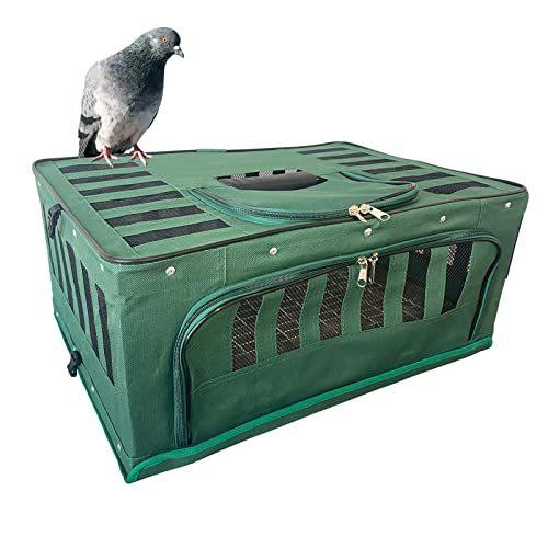 2021春大特価セール！ 満点の Pigeon cage Release Transport Stainless Steel Fo congxepdongnai.com congxepdongnai.com