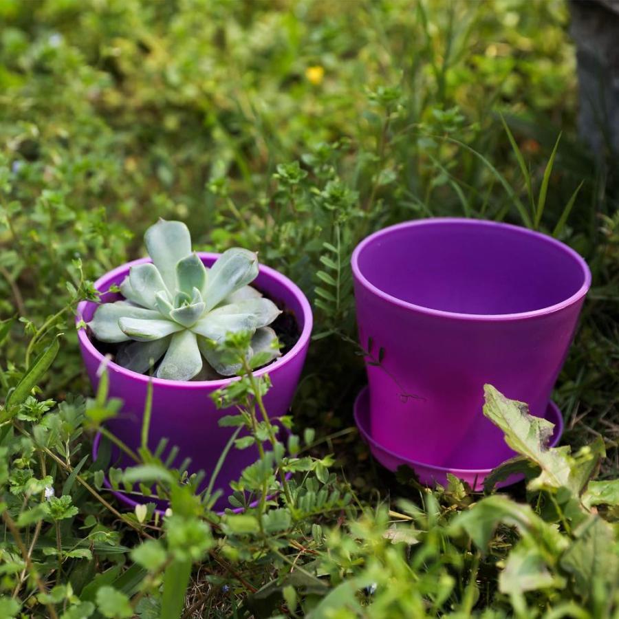 プッシュされた製品 25 Pcs Plastic Planters Indoor Flower Plant Pots， Mini Flower Seedlings Nur