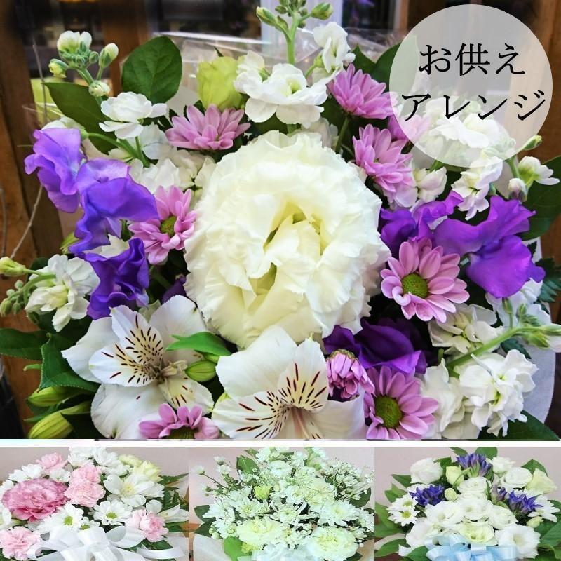 季節のおすすめ商品 仏花 プリザーブドフラワー お供え 花 喪中見舞い 仏壇 仏事 供花 宅配 ブリザード 訃報 一周忌 お悔み 仏壇花 命日 四十九日 初盆 お盆 Wantannas Go Id