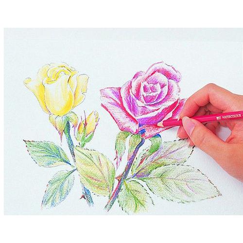 シヤチハタ 鉛筆 Shachihata グッズ ギフト ぬり絵 デッサン 画材文房具 文具 学生 美術 子ども 絵画 ファーバーカステル 水彩色鉛筆 24色セット Wz Sitihata Enpitu 24 印鑑本舗 通販 Yahoo ショッピング