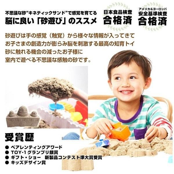 砂遊び 砂 室内 キネティックサンド 2lb ラングスジャパン 3歳 おもちゃ Kinetic Sand 室内用 子供 キッズ ギフト 誕生日プレゼント ねんど 粘土 男の子 女の子 ピンキーベビーズ 通販 Yahoo ショッピング