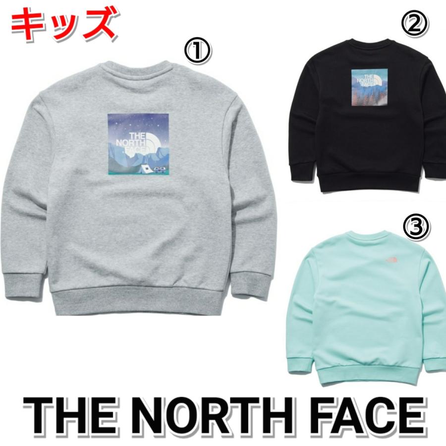 年最新海外 The North Face ノースフェイス キッズ Monte トレーナー グレー 緑 黒 男の子 女の子 楽天ランキング1位 Altammamfactory Com Jo