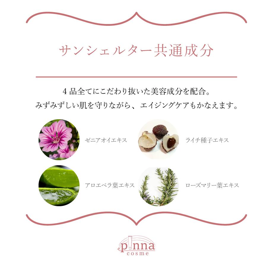 DECORTE（デコルテ） 【 国内発送 】 COSME DECORTE コスメデコルテ