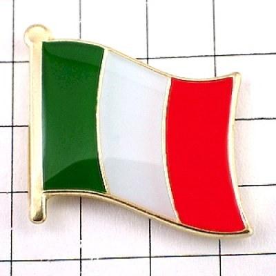 ピンバッジ◇イタリア 国旗デラックス薄型キャッチ付き 緑白色 ピンズ