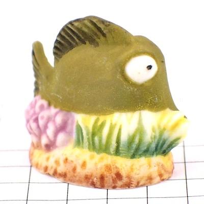 フェブ・バブルス魚キイロハギ映画ディズニーファインディングニモ 