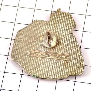 ピンバッジ・パリの清掃エコ掃除道具◇フランス限定ピンズ◇レアな