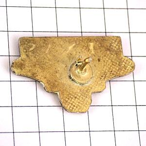 ピンバッジ・テキサス州バッファロー野牛アメリカ/USA TEXAS COW