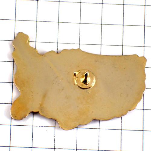 ピンバッジ・アメリカ地図型テキサス州/USA米国◇フランス限定ピンズ