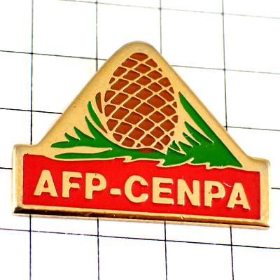 ピンバッジ・松ぼっくりと緑の草◇フランス限定ピンズ◇レアな
