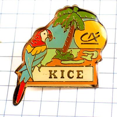 ピンバッジ・オウム熱帯鳥ヤシの木◇フランス限定ピンズ◇レアな