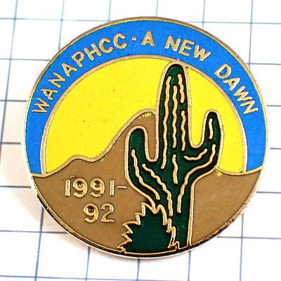 ピンバッジ・サボテン荒野の太陽◇フランス限定ピンズ◇レアな