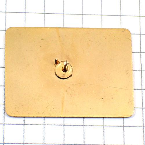 ピンバッジ・茶色い馬と南国の太陽◇フランス限定ピンズ◇レアな