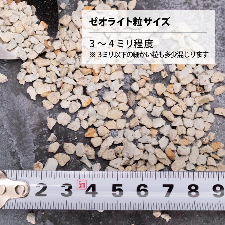 ガラス水槽 メダカ 飼育 セット おしゃれ グラスアクアリウム 流木 ペット 金魚 熱帯魚 TEAR 20cm |  | 13