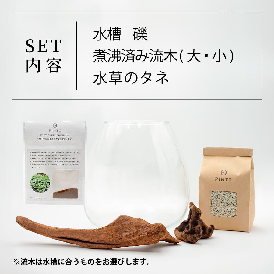 ガラス水槽 メダカ 飼育 セット おしゃれ グラスアクアリウム 流木 ペット 金魚 熱帯魚 TEAR 20cm |  | 08