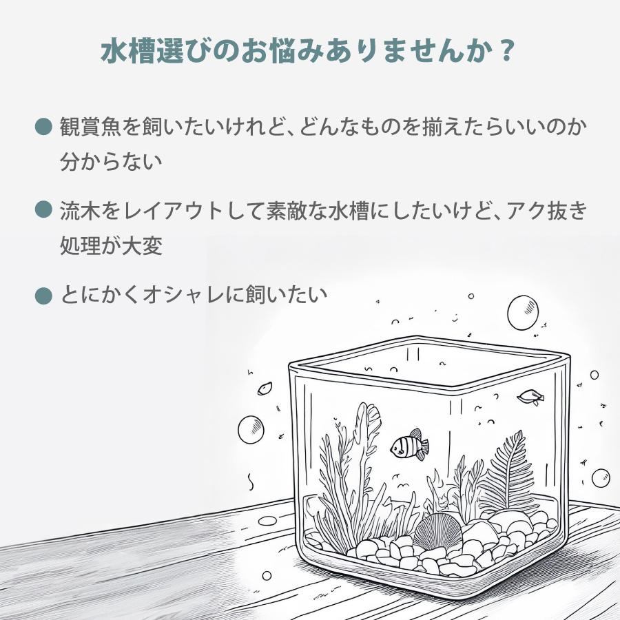 ガラス水槽 メダカ 飼育 セット おしゃれ グラスアクアリウム 流木 ペット 金魚 熱帯魚 TEAR 20cm |  | 05