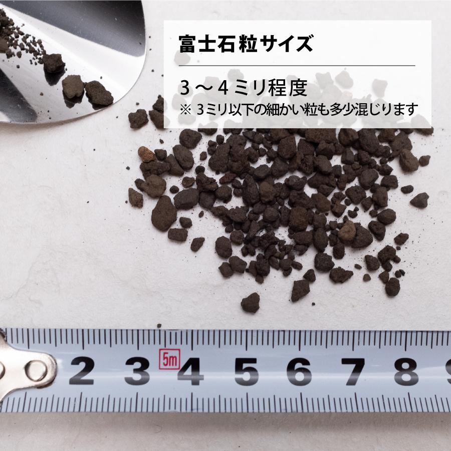 ガラス水槽 ベタ 飼育 セット おしゃれ グラスアクアリウム 流木 ペット メダカ 金魚 熱帯魚 CYLINDER 20cm |  | 14