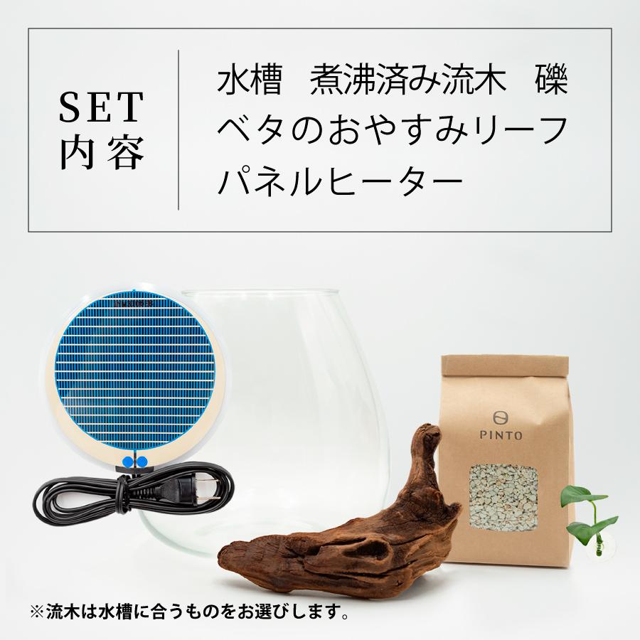 ガラス水槽 ベタ 飼育 セット おしゃれ グラスアクアリウム 流木