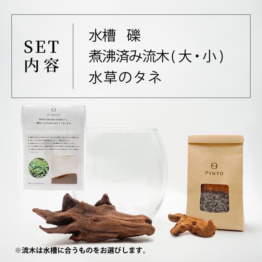 ガラス製　メダカ鉢（流木台座つき） pinto-store_set0010