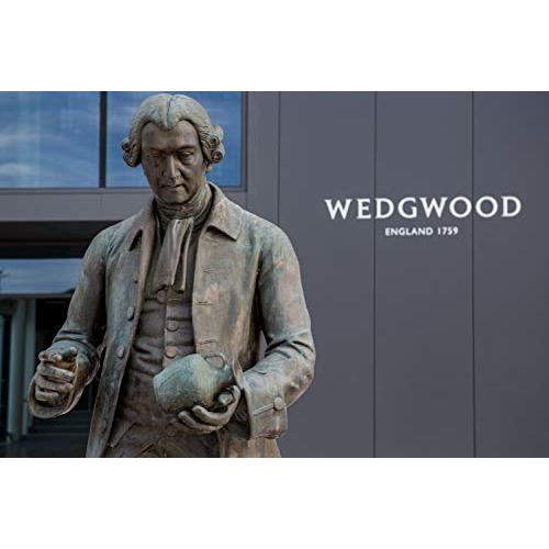 Wedgwood(ウェッジウッド) 【プチギフト 挨拶】 ワイルド ストロベリー ティーバッグ(18袋入)｜pinus-copia｜04