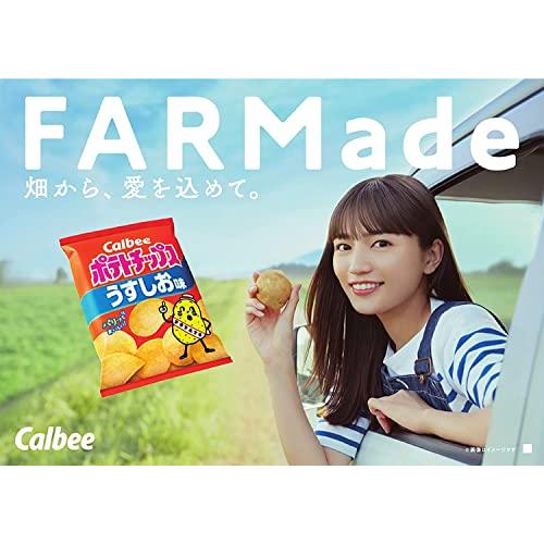 カルビー ポテトチップスうすしお味 60g×12袋｜pinus-copia｜03