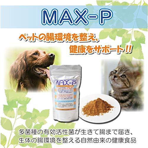 MAX-PROBIO ペット用整腸食品 MAX-P 100g 腸内環境 免疫力向上｜pinus-copia｜02