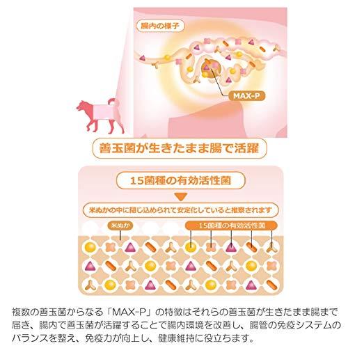 MAX-PROBIO ペット用整腸食品 MAX-P 100g 腸内環境 免疫力向上｜pinus-copia｜04