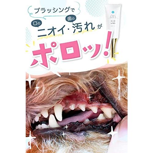 ニオワン 犬 歯石取り 歯磨き はみがき 猫 ペット デンタルケア 口腔歯ブラシ ガム 口臭 歯垢 ジェル 30g｜pinus-copia｜04