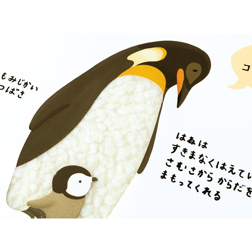 絵本 育脳 本 動物 ギフト ラッピング さわれるまなべる さむいくにのどうぶつ 111 Pionネットshop 通販 Yahoo ショッピング