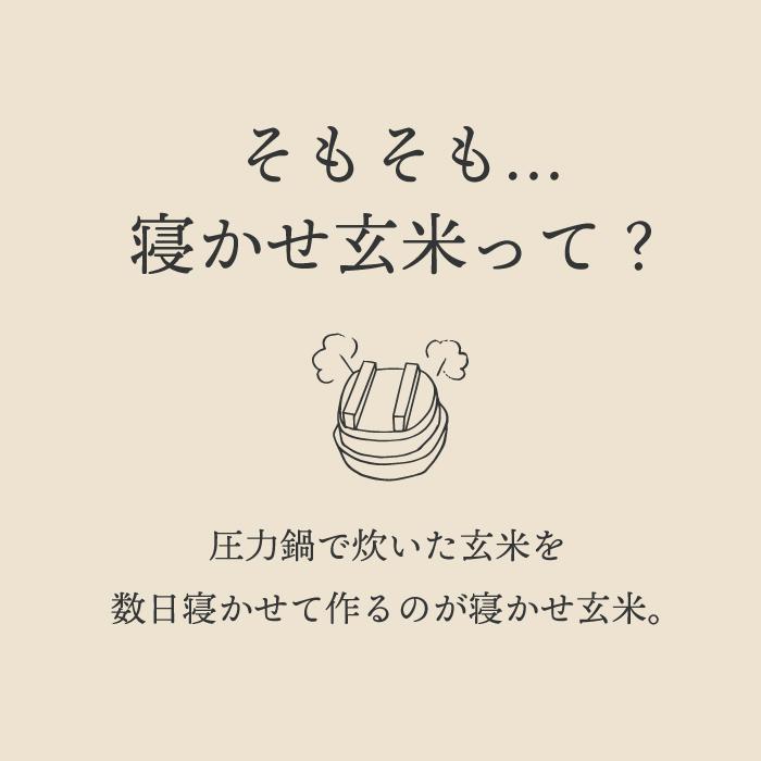 結わえる もちもち 健康 レンジで簡単 レンチン 便利 十五穀ブレンド 寝かせ玄米 ごはんパック 360｜pion-net｜05