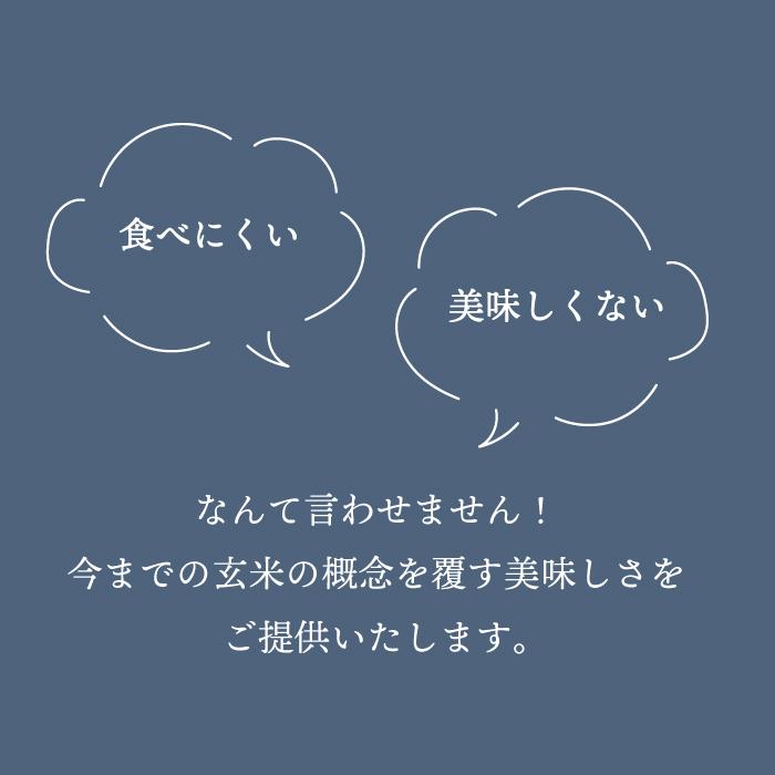 【5個セット】 結わえる もちもち 健康 レンジで簡単 レンチン 便利 小豆ブレンド 寝かせ玄米 ごはんパック 063｜pion-net｜07