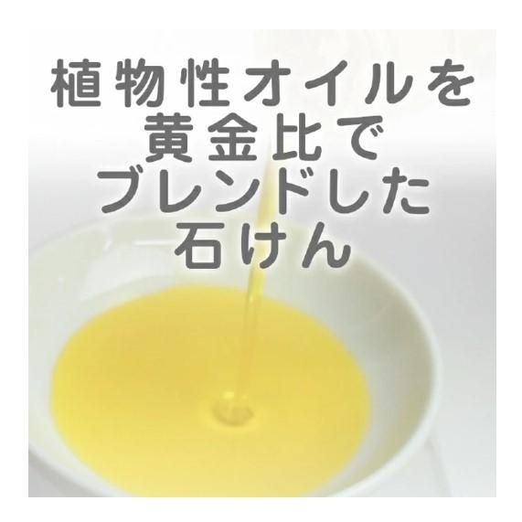 マックス 配送料無料 植物生まれのやさしい石けん 80g×2入 ×5個 マックス 配送料無料 植物生まれのやさしい石けん 80g×2入 ×5個