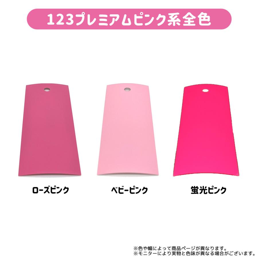 123プレミアム 123フレックス カラーサンプル 色見本帳 オリジナルプリント パイオテック 通販 Yahoo ショッピング