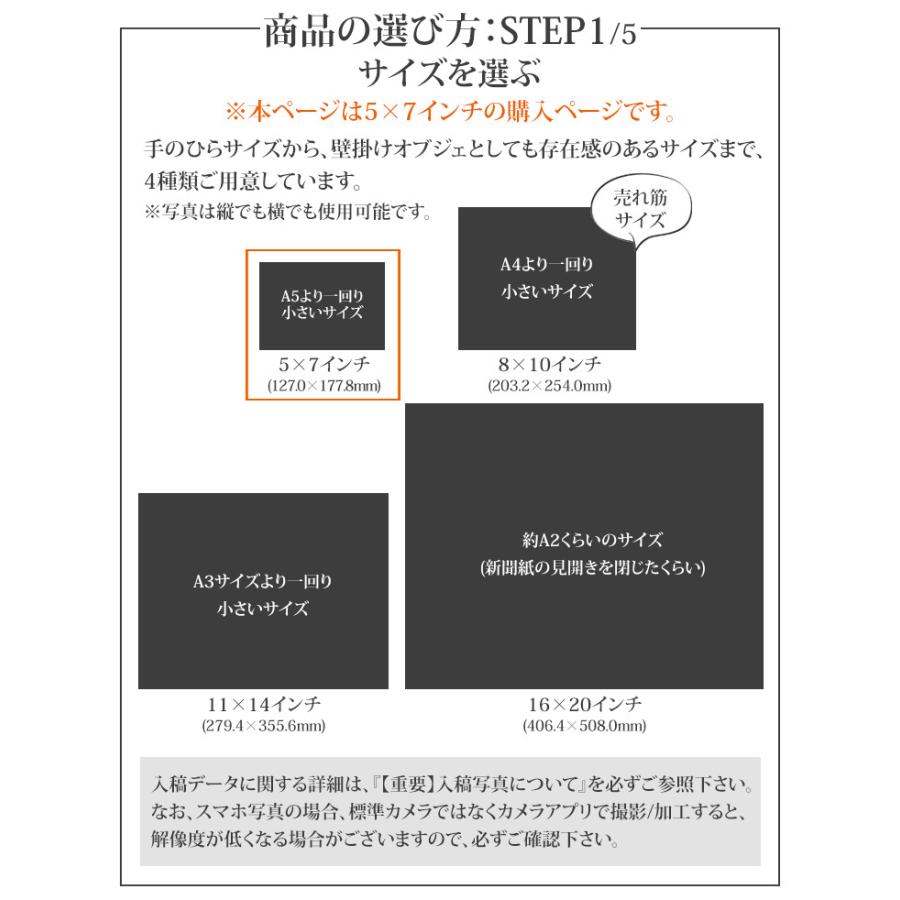 ペット 写真 メタルプリント 5 7インチ アルミ製 高解像度 65年耐久性 写真立て 写真入り フォトフレーム Mp Pet 0507 オリジナルプリント パイオテック 通販 Yahoo ショッピング