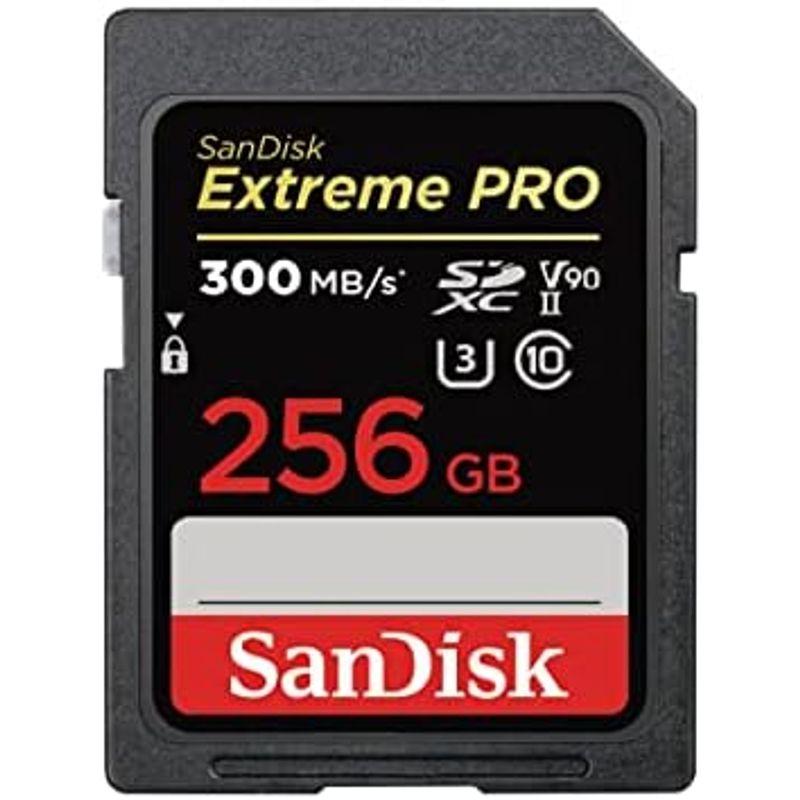 サンディスク 正規品 SDカード 64GB SDXC Class10 UHS-I V30 読取最大200MB/s SanDisk Extr｜pipihouse｜13