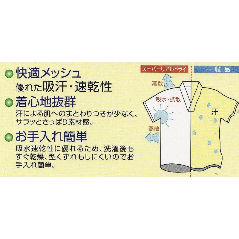 株式会社ハセガワ 2Lサイズ スーパーリアルドライメッシュ生地使用 「Tシャツ半襦袢」 半袖｜pipihouse｜02