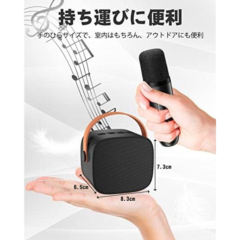 Verkstar カラオケマイク Bluetoothマイク２本 無線マイク ワイヤレス スピーカー PAセット ステレオ対応 家庭用 カラオ｜pipihouse｜20