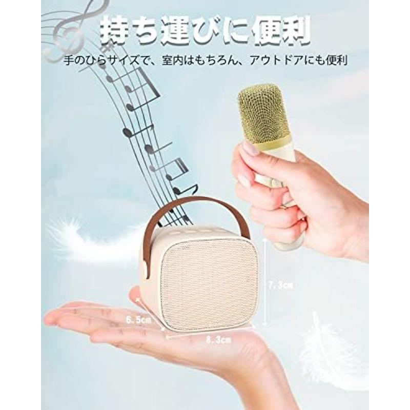 Verkstar カラオケマイク Bluetoothマイク２本 無線マイク ワイヤレス スピーカー PAセット ステレオ対応 家庭用 カラオ｜pipihouse｜08