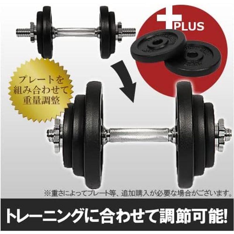 LEADING EDGE アイアンダンベル 40kg LE-IDB40 単品｜pipihouse｜05