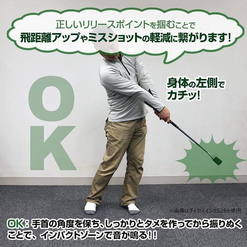 ダイヤゴルフ(DAIYA GOLF) スイング練習機 ゴルフ練習器 ユニセックス ユニフレックス ダイヤスイング527 TR-527 両手｜pipihouse｜03