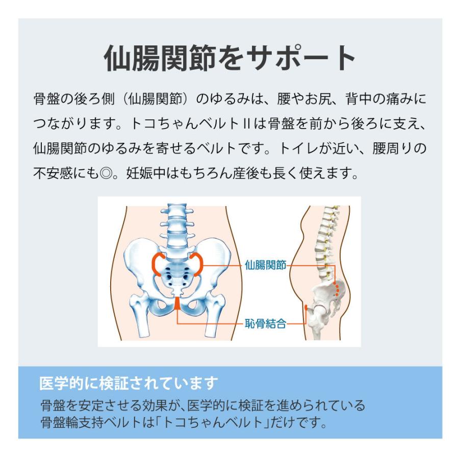 トコちゃんベルト2 M 腹帯 産前産後 妊娠中 骨盤ベルト おまけ付 直後ケアベルト ダブル巻き セット｜pippi｜04