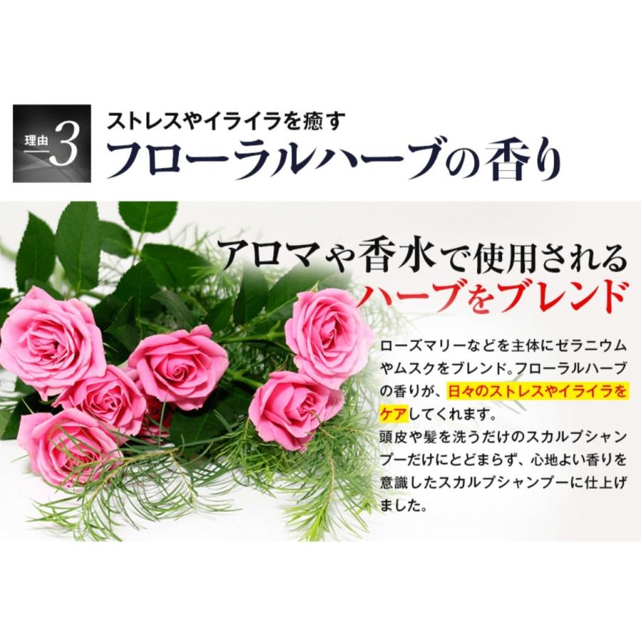 M3040プレミアムスカルプシャンプー ノンシリコン アミノ酸系 ノン