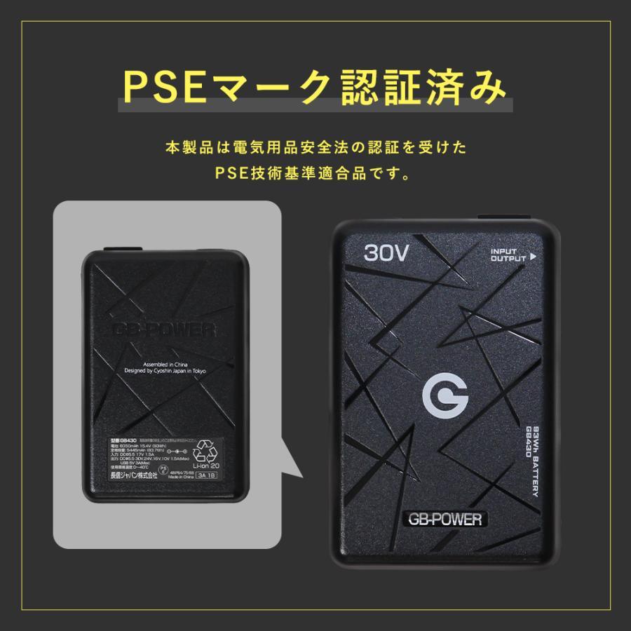 P+9％／ すぐ発送！ 長信ジャパン 最新 2026【Pro】バッテリー&【10th