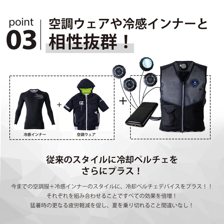 I'Z FRONTIER 先行予約 アイズフロンティア 冷却ペルチェ 4個 I'Z FRONTIER 先行予約 アイズフロンティア 冷却ペルチェ 4個