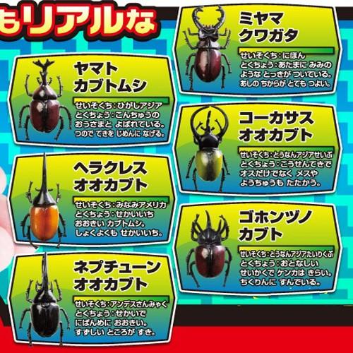 昆虫 セット フィギュア 6体セット 甲虫 ヘラクレスオオカブト ミヤマクワガタ カブトムシ クワガタムシ クワガタ P 作業着 空調服 安全靴の現場王 通販 Yahoo ショッピング