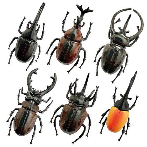 ブランド登録なし 特価 昆虫 フィギュア 6体セット リアル 世界の昆虫 世界の鍬形虫標本セット(超リアル模型)