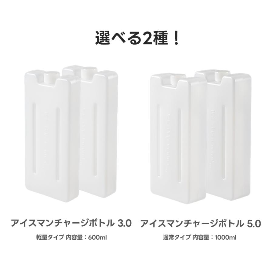 山真製鋸 チャージボトル 3.0 5.0 2本入り 2025年 春夏 アイス